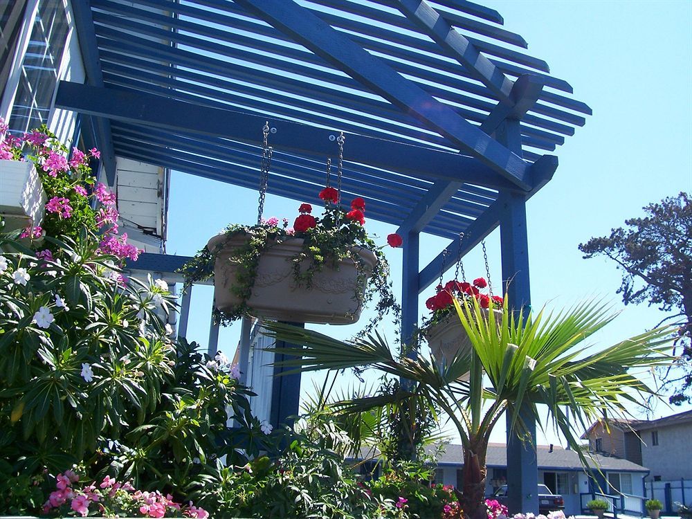 The Monterey Fireplace Inn Exterior foto